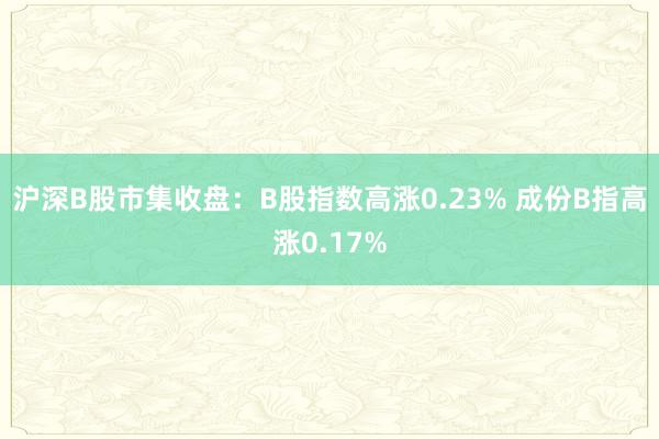 沪深B股市集收盘：B股指数高涨0.23% 成份B指高涨0.17%