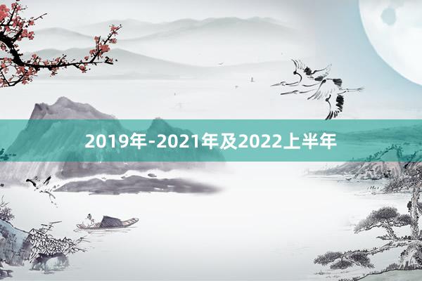 2019年-2021年及2022上半年